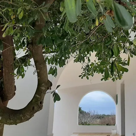 Abaton - Casa Affittacamere Metaponto