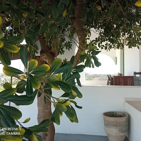 Affittacamere Abaton - Casa Metaponto