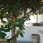 Pensjonat Abaton - Casa Metaponto