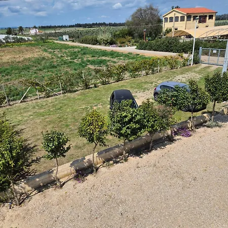 Pensión Abaton - Casa Metaponto