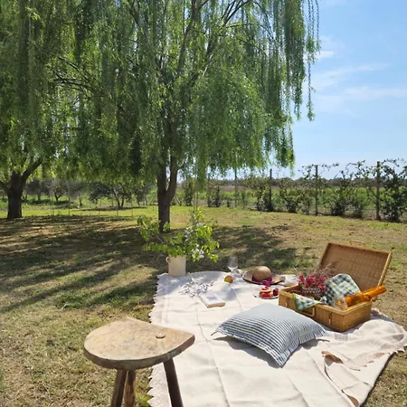 Abaton - Casa Гостевой дом 4*