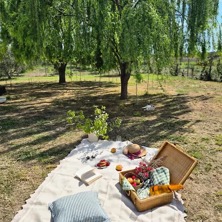 Гостевой дом Abaton - Casa Метапонто