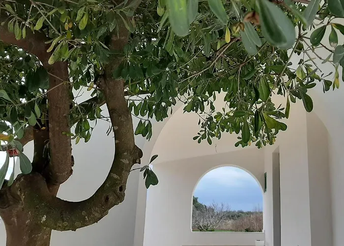 Abaton - Casa Guest house Metaponto