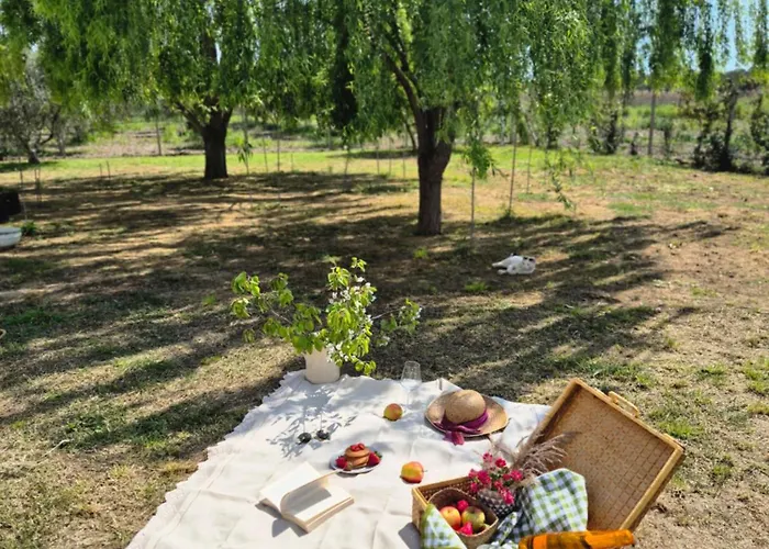 Guest house Abaton - Casa Metaponto